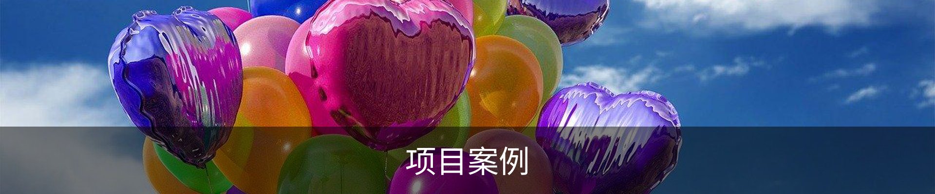 项目案例